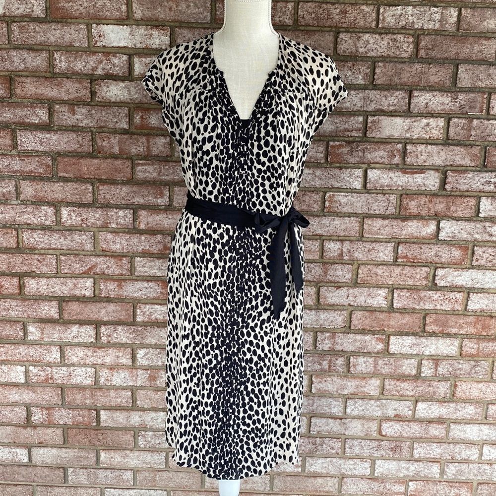 Talbots Leopard Print Sheer with Black Slip Dress - Ribbon Fabric Belt - Size 6